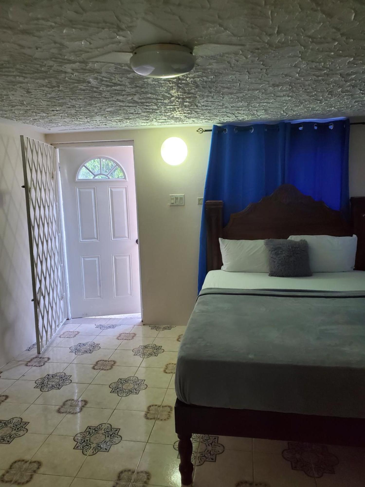 Wizzy Apartment White River Ocho Rios Pokoj fotografie