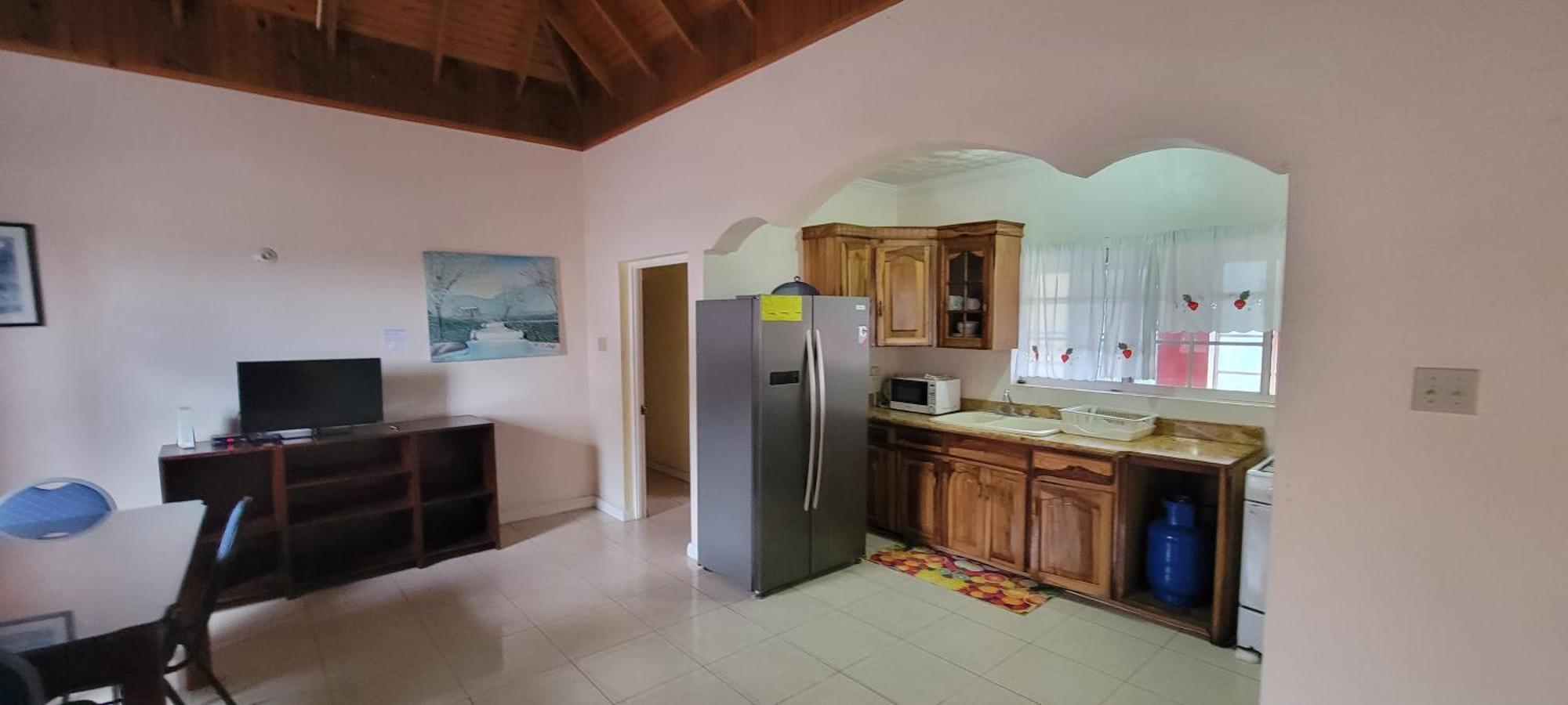 Wizzy Apartment White River Ocho Rios Pokoj fotografie