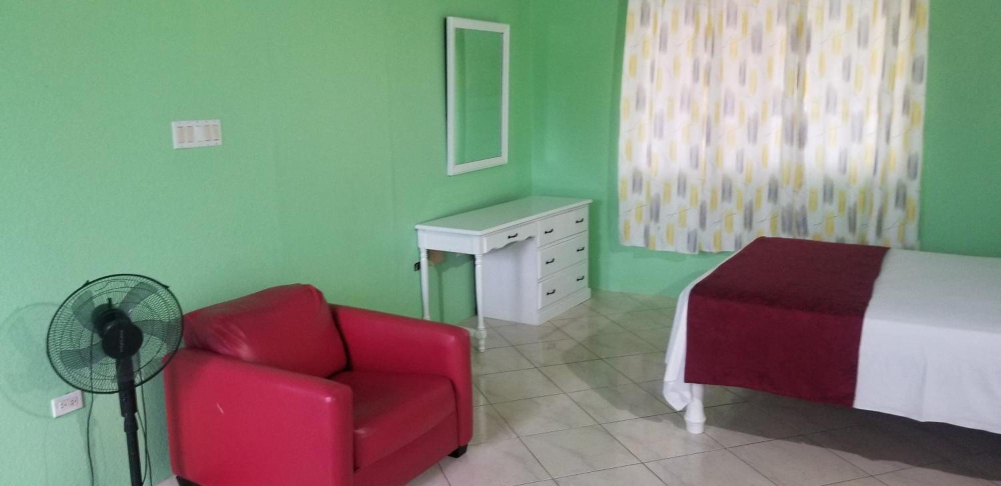Wizzy Apartment White River Ocho Rios Pokoj fotografie