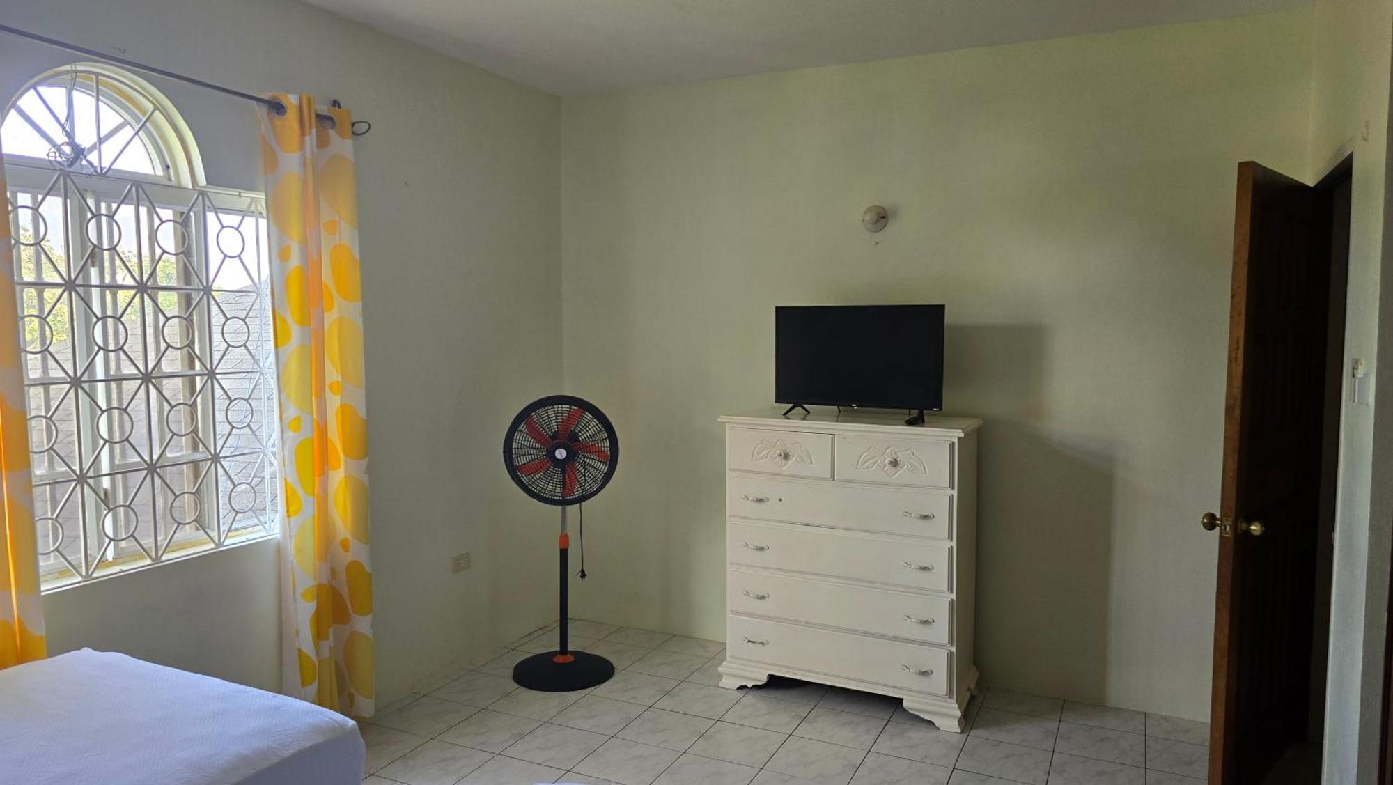 Wizzy Apartment White River Ocho Rios Pokoj fotografie